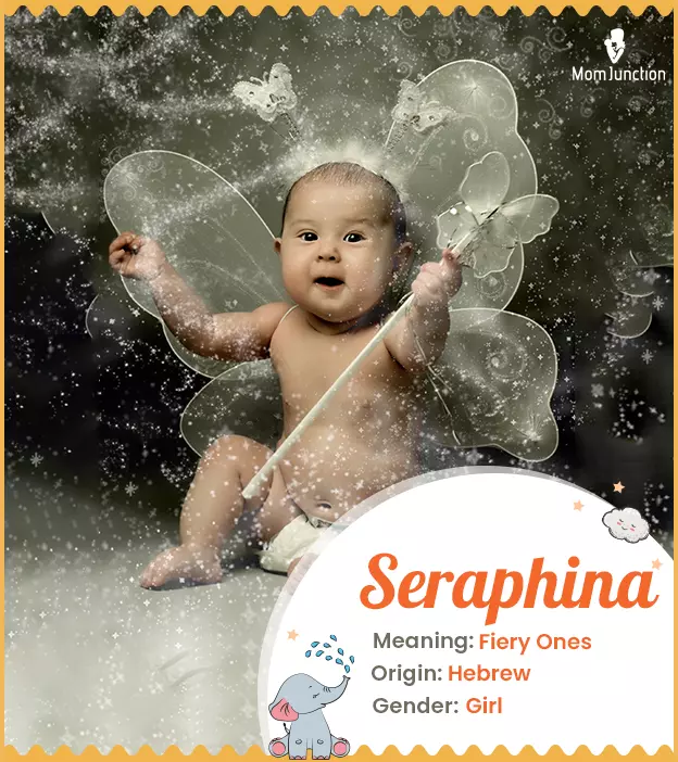 seraphina: Name Meaning, Origin, History, And Popularity ...