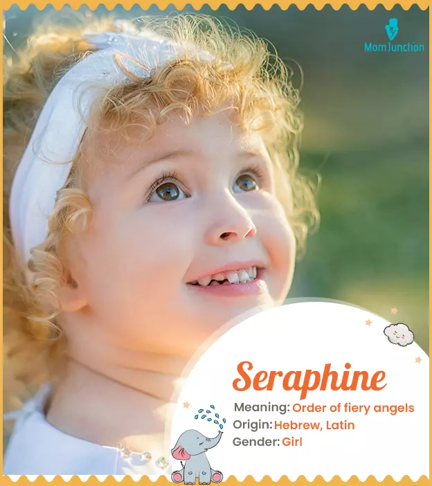 Seraphine: Name Meaning, Origin, History, And Popularity ...