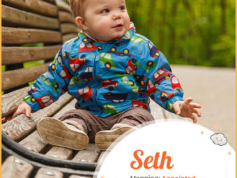 Seth, a Biblical boy