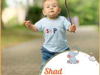 Shad, meaning happy or battle