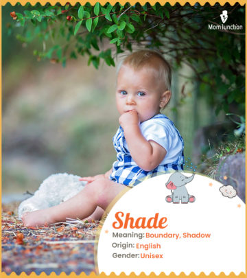 Shade means boundary or shadow