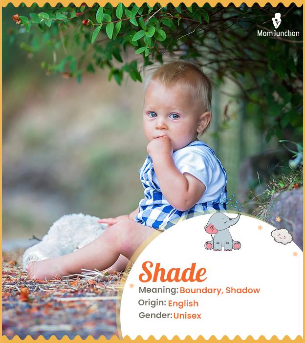 Explore Shade: Meaning, Origin & Popularity_image