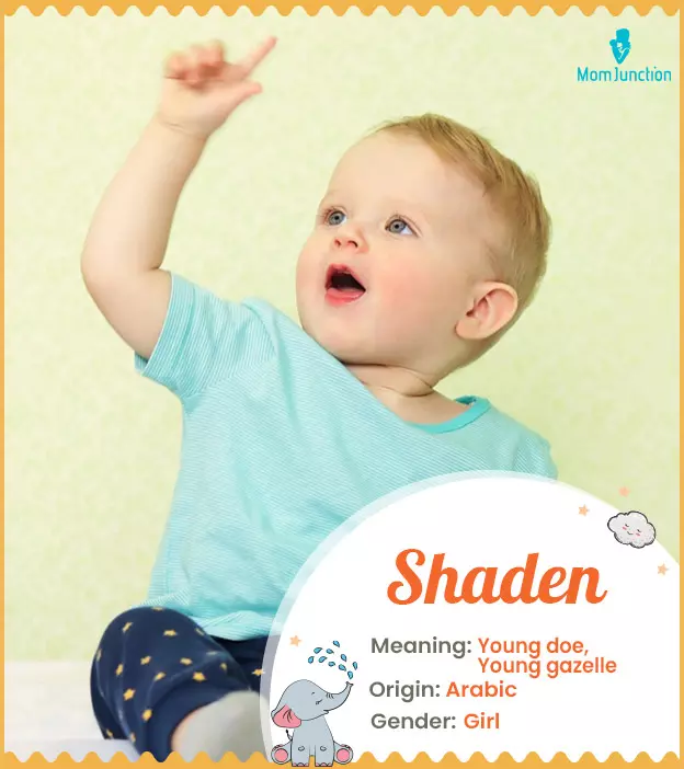 shaden: Name Meaning, Origin, History, And Popularity | MomJunction