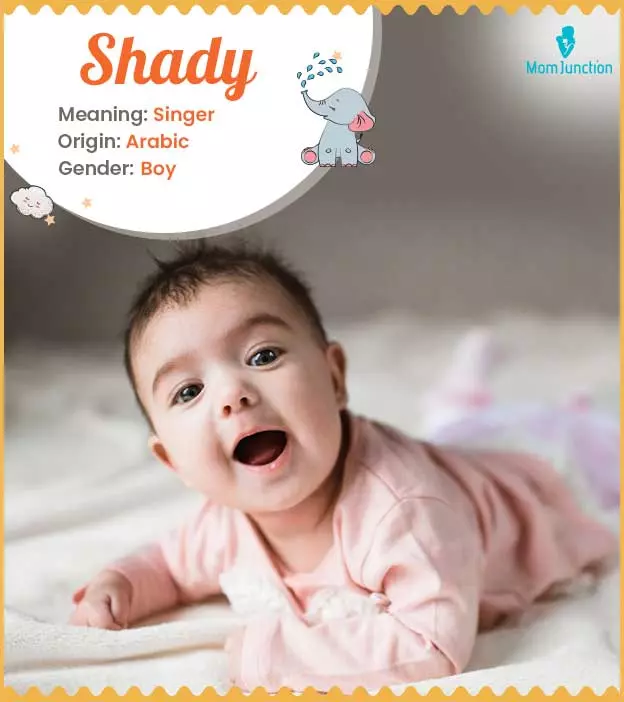 Explore Shady: Meaning, Origin & Popularity | MomJunction