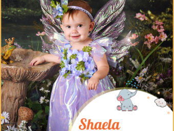 Shaela, from the fairy palace