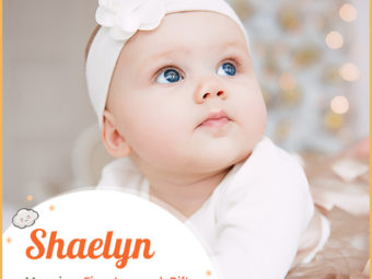 Shaelyn means fine, learned or gift