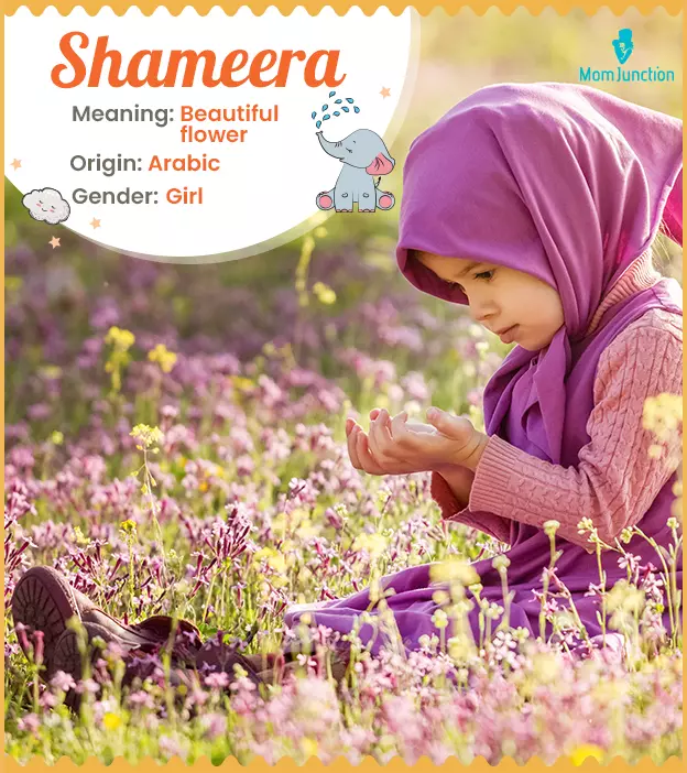 shameera: Name Meaning, Origin, History, And Popularity ...