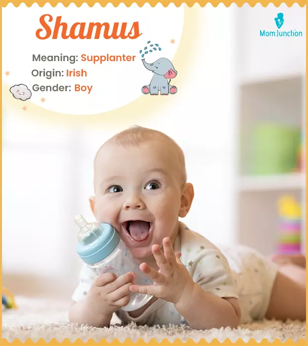 shamus: Name Meaning, Origin, History, And Popularity ...