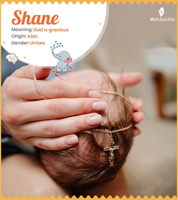 Shane Name, Meaning, Origin, History, And Popularity_image