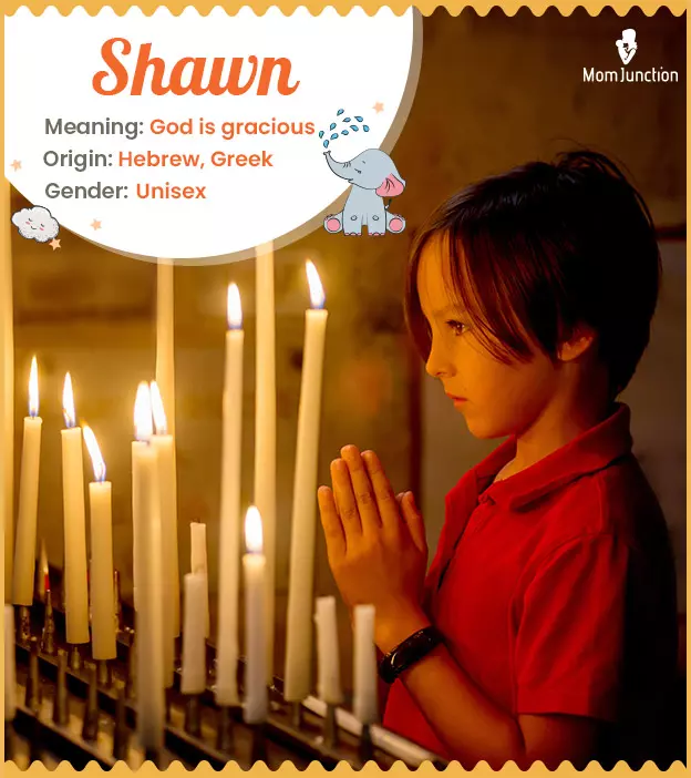 shawn: Name Meaning, Origin, History, And Popularity | MomJunction