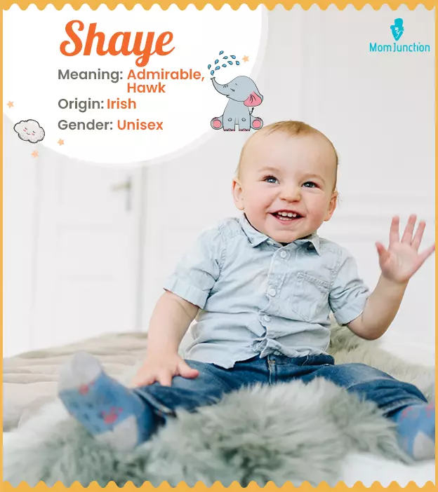 Explore Shaye: Meaning, Origin & Popularity_image