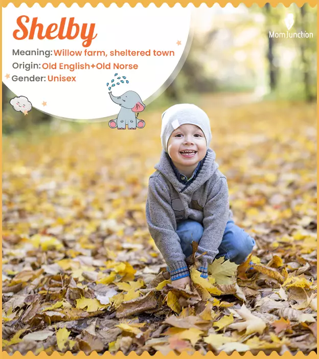 Shelby Name Meaning, Origin, History, And Popularity_image