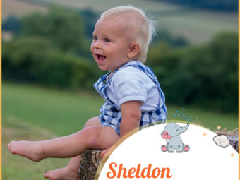 Sheldon, meaning steep valley