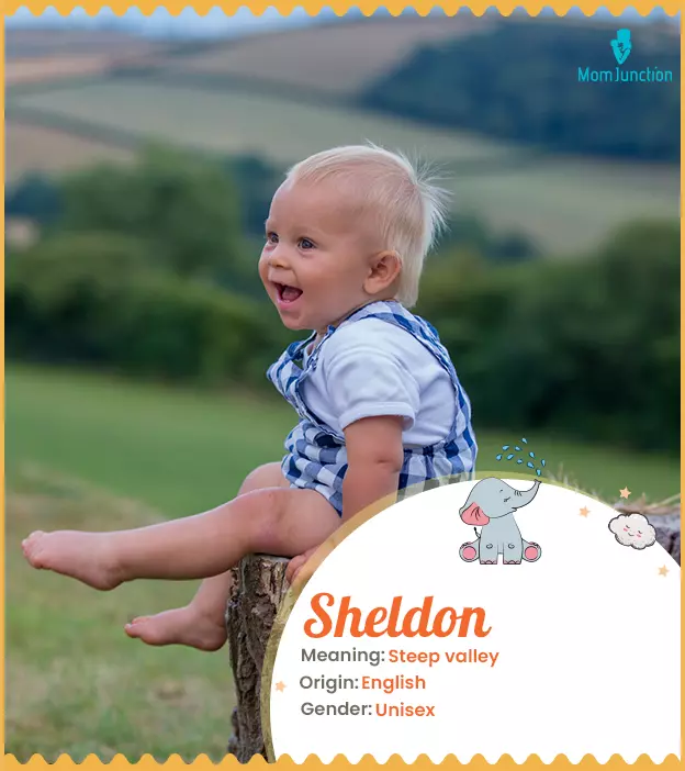 Explore Sheldon: Meaning, Origin & Popularity | MomJunction