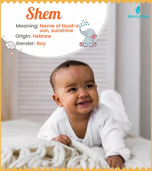 Shem Meaning, History, Origin And Popularity | MomJunction
