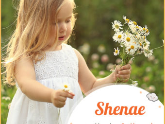 Shenae, a feminine name