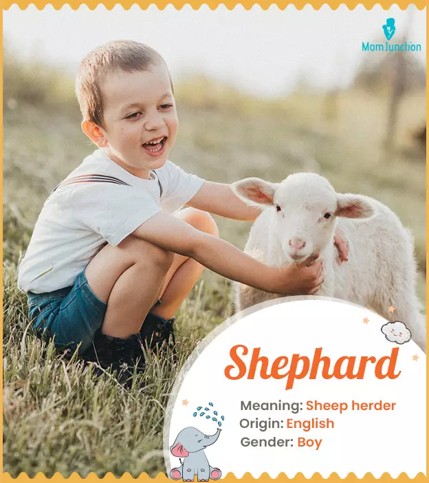 Shephard means a she