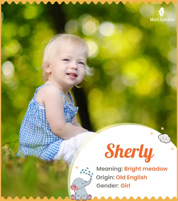 Sherly: Name Meaning, Origin, History, And Popularity | MomJunction