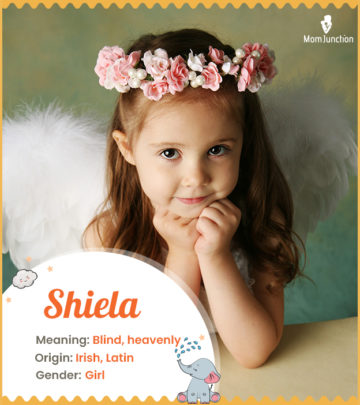 Shiela meaning Blind, Heavenly
