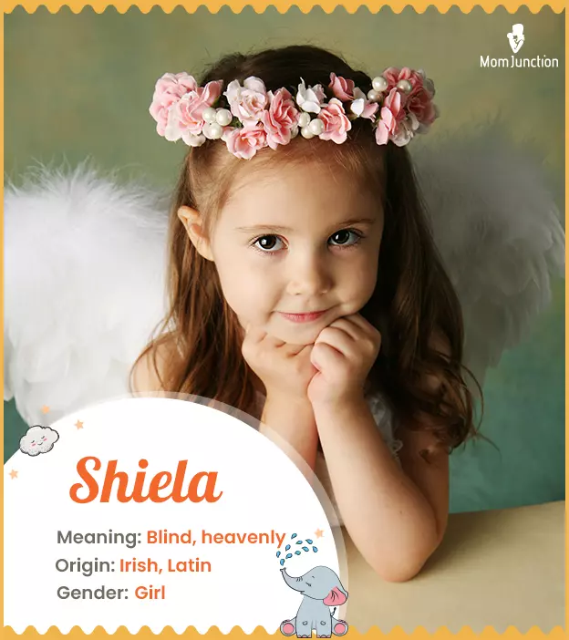 shiela: Name Meaning, Origin, History, And Popularity_image