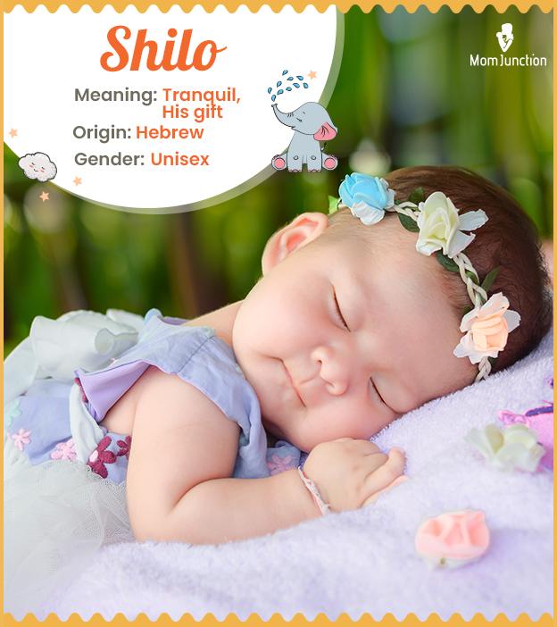 Shilo Name Meaning, Origin, History, And Popularity_image