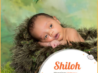 Shiloh, a beautiful Hebrew name