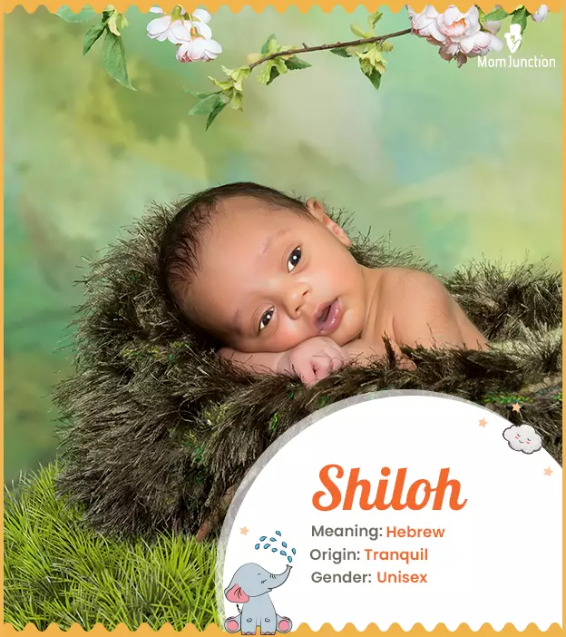 Shilo, the one who keeps everything at peace