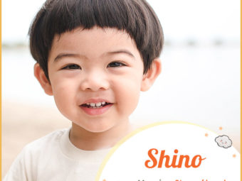 Shino, meaning Stem of Bamboo or Bamboo grass