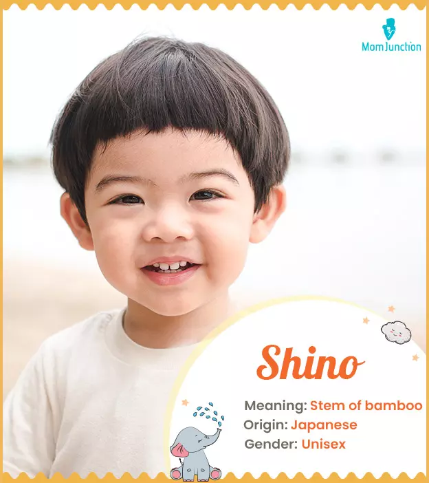 shino: Name Meaning, Origin, History, And Popularity_image