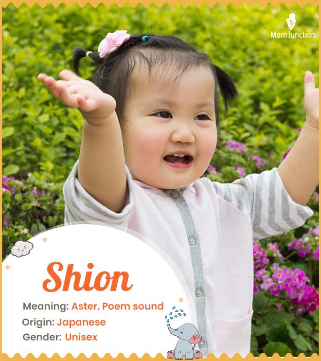 shion: Name Meaning, Origin, History, And Popularity_image