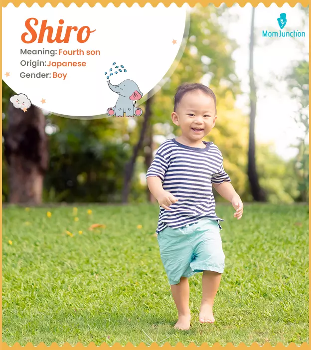 shiro: Name Meaning, Origin, History, And Popularity | MomJunction