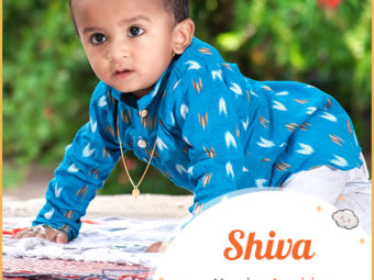 Shiva means auspicious and charming