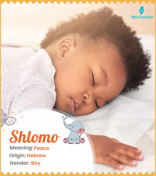 shlomo: Name Meaning, Origin, History, And Popularity | MomJunction