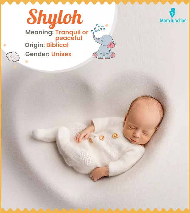 Shyloh: Name Meaning, Origin, History, And Popularity | MomJunction