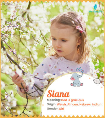 Explore Siana: Meaning, Origin & Popularity_image