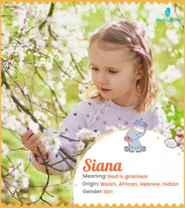 Explore Siana: Meaning, Origin & Popularity | MomJunction