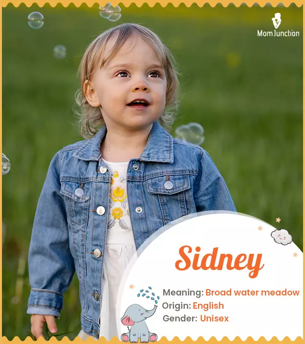 sidney: Name Meaning, Origin, History, And Popularity | MomJunction