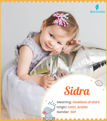 Sidra, a Latin name