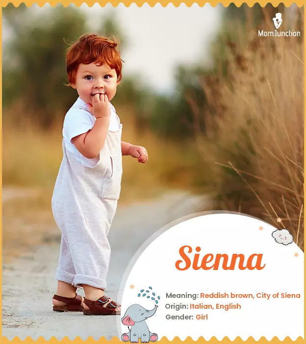 Sienna Name Meaning, Origin, History, And Popularity | MomJunction