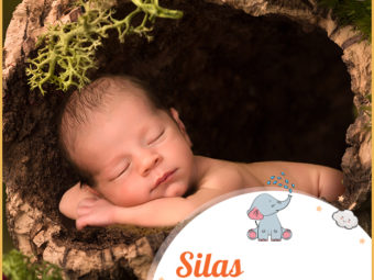 Silas, a name symbolizing strength