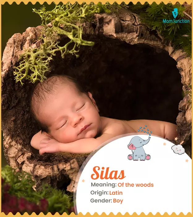 silas: Name Meaning, Origin, History, And Popularity | MomJunction_image