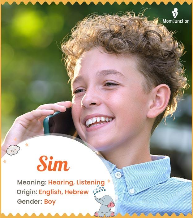 Explore Sim: Meaning, Origin & Popularity_image