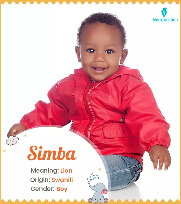 simba: Name Meaning, Origin, History, And Popularity_image