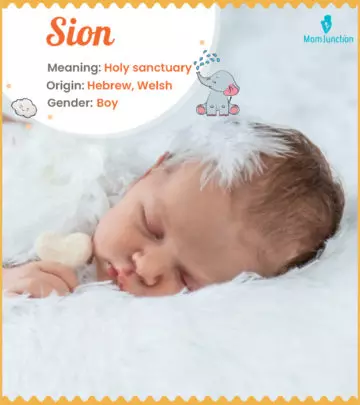 Baby Name sion Meaning, Origin, And Popularity