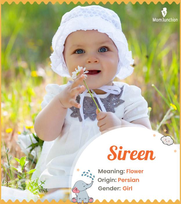 Explore Sireen: Meaning, Origin & Popularity_image