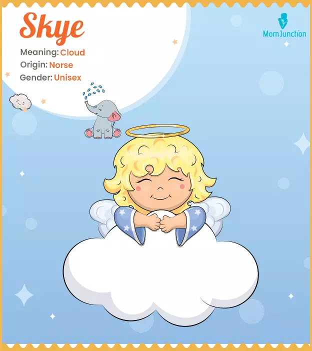 Skye, a Norse name m