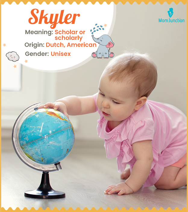 Skyler Cell Phone Bag (PDF)