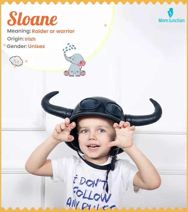 Sloane Name Meaning, History, Origin And Popularity_image