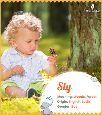 Sly, meaning forest