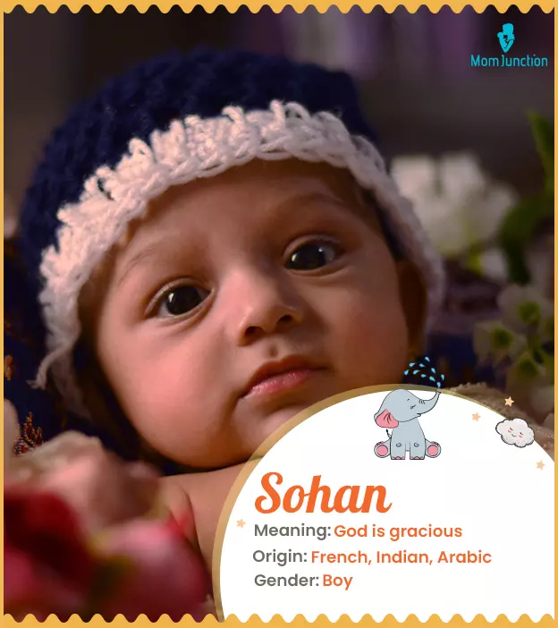 sohan: Name Meaning, Origin, History, And Popularity | MomJunction